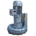 Воздуходувка FPZ K09-MD-GVR-5.50 Flex-coupling Vertical IE2