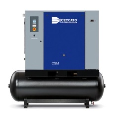 Промышленный винтовой компрессор Ceccato CSM 21-10 500 с осушителем