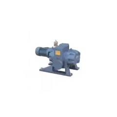 Вакуумный насос DEVELOPMENT VACUUM EQUIPMENT ZJP-220