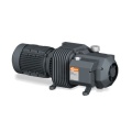 Вакуумный насос Busch Seco SD 1063 B